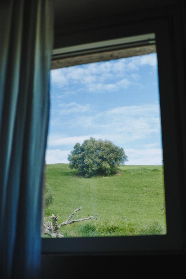 Monna Terra B&B フェルモ エクステリア 写真